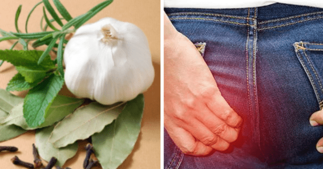 Clavos de olor, laurel y ajo para la salud