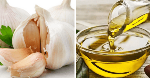 Dientes de ajo y aceite vegetal para el herpes