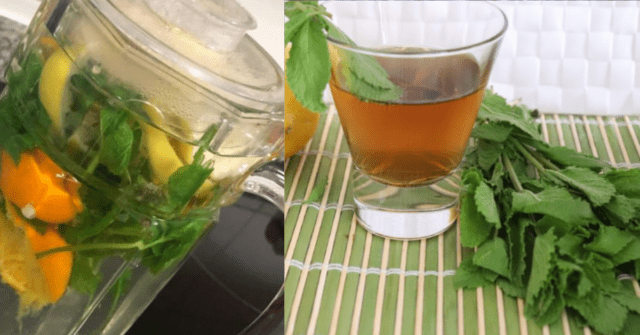 Limpieza hépaica de hierbabuena y cítricos