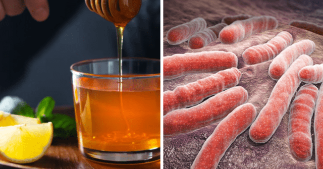 Orégano, limon y miel para atacar bacterias