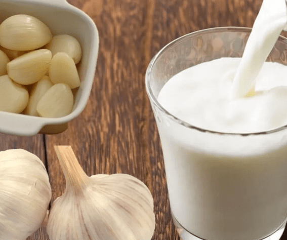 BENEFICIOS DEL AJO CON LECHE Y RECETAS