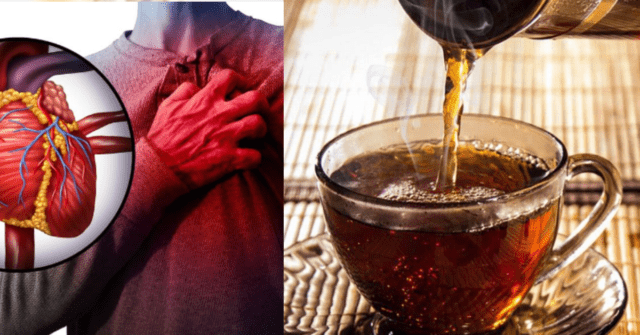 TÉ DE ORÉGANO Y CANELA PARA COMBATIR EL COLESTEROL