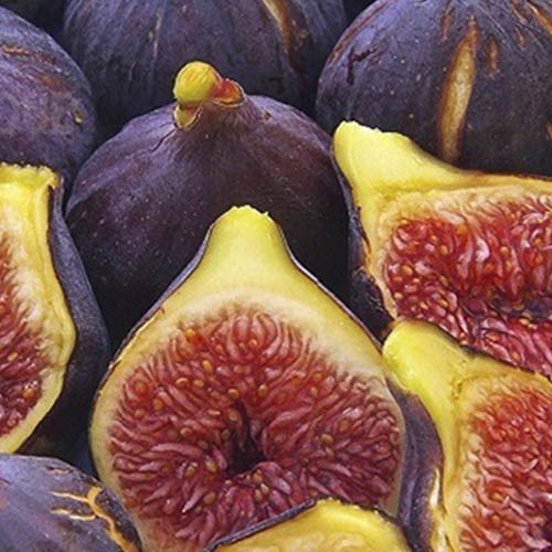 Que son los higos, son una fruta?