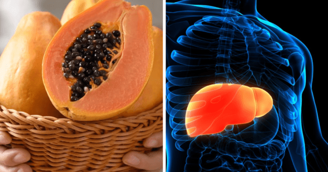 Semillas de papaya para desintoxicar el hígado