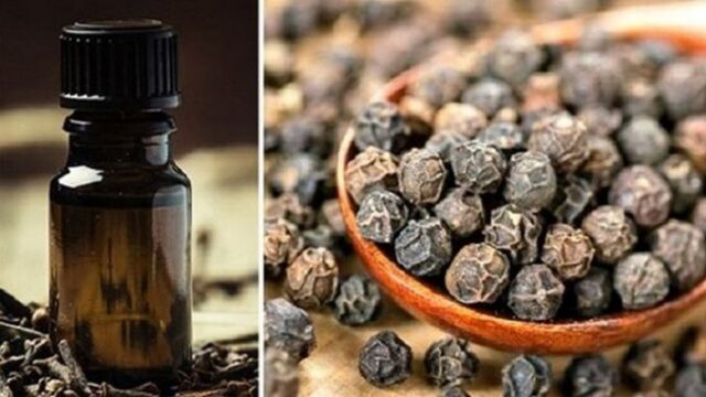 Aceite de pimienta negra para acido úrico de la sangre