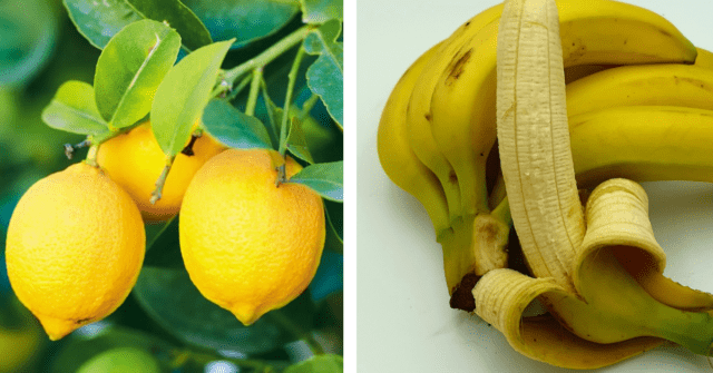 Plátano y limón para el cansancio crónico
