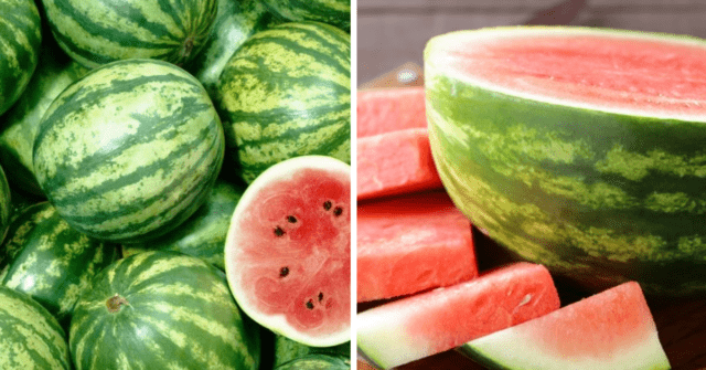 Beneficios de la sandía