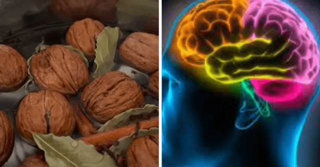 Nueces y hojas de laurel para la memoria