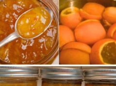 Mermelada de Mango: ¡Deliciosa y Fácil de Preparar en Casa!