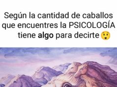 TEST DE CABALLOS QUE DIRÁ MUCHO ACERCA DE LA PERSONALIDAD HUMANA
