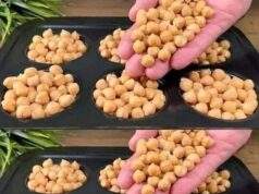 GARBANZOS AL HORNO. ESTA RECETA ES UN VERDADERO TESORO