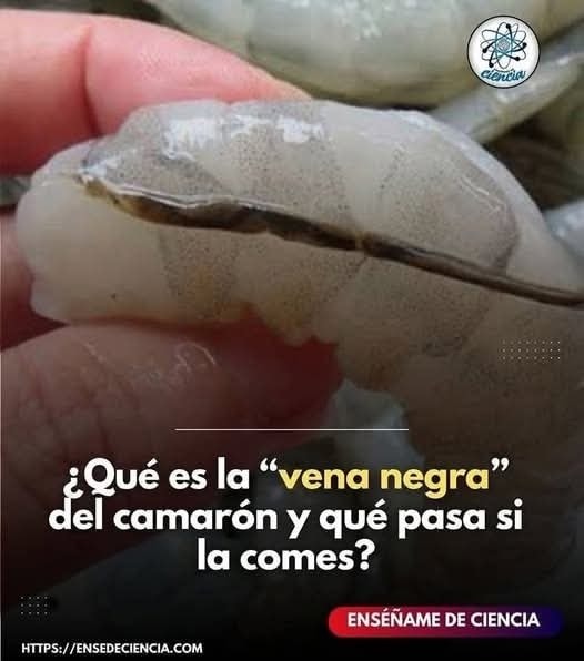 ¡Ceviche, aprende cómo prepararlo en casa!
