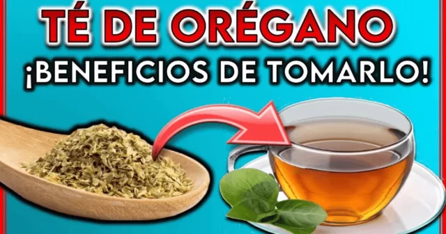 🌿 Té de orégano: beneficios reales, cómo prepararlo y cuándo tomarlo