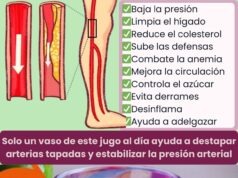 Jugo de betabel y limón: una bebida natural que puede apoyar la presión saludable