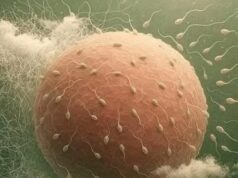 ¿Por qué es importante orinar después de la intimidad? El hábito sencillo que puede proteger tu salud